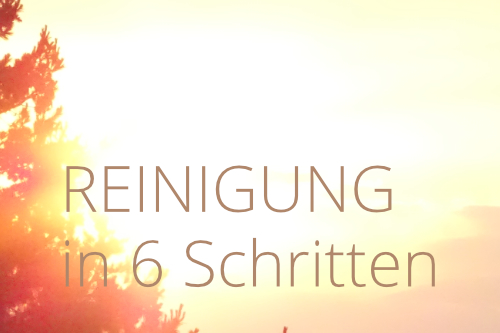 Reinigung in 6 Schritten