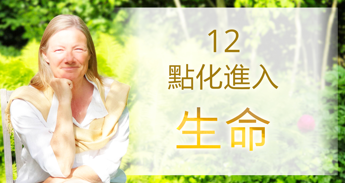 12點化進入生命