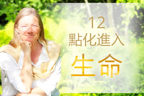12點化進入生命