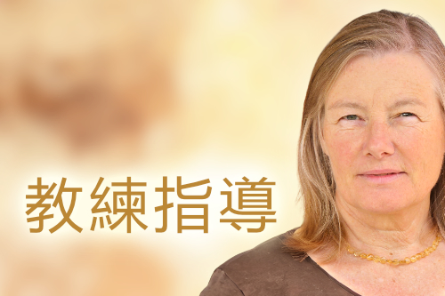 教練指導